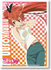 Bushiroad Sleeve Collection High-grade Vol. 0539 Haiyore! Nyaruko-san W 